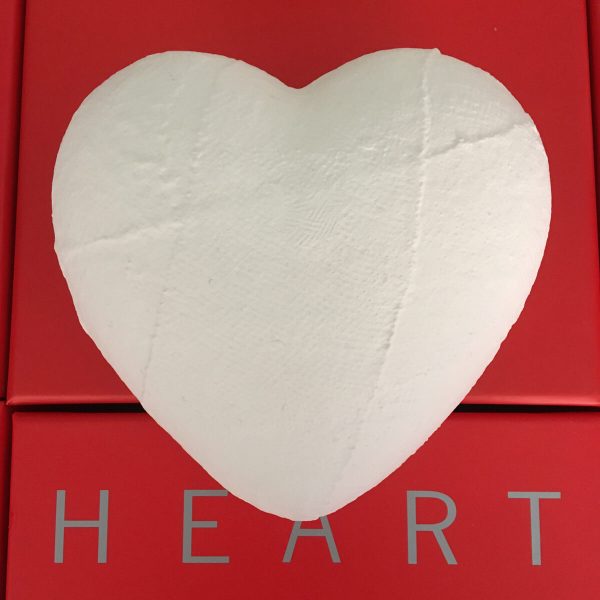 the-heart-ingessato-22