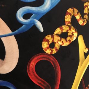 toiletpaper-snakes-1